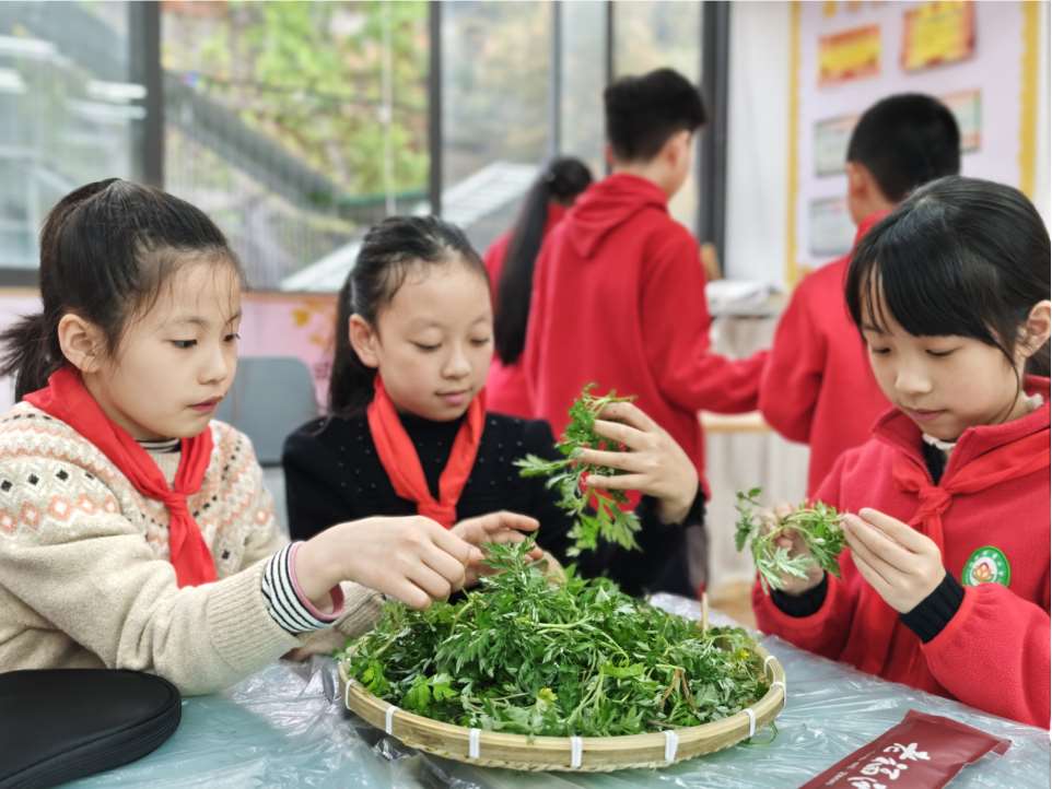 微信图片_20250417145517_Jc.jpg
