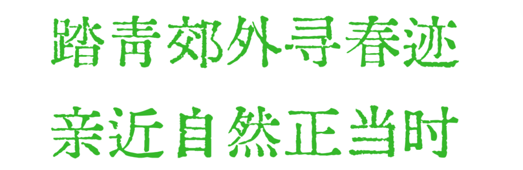 微信图片_20250417145721.png