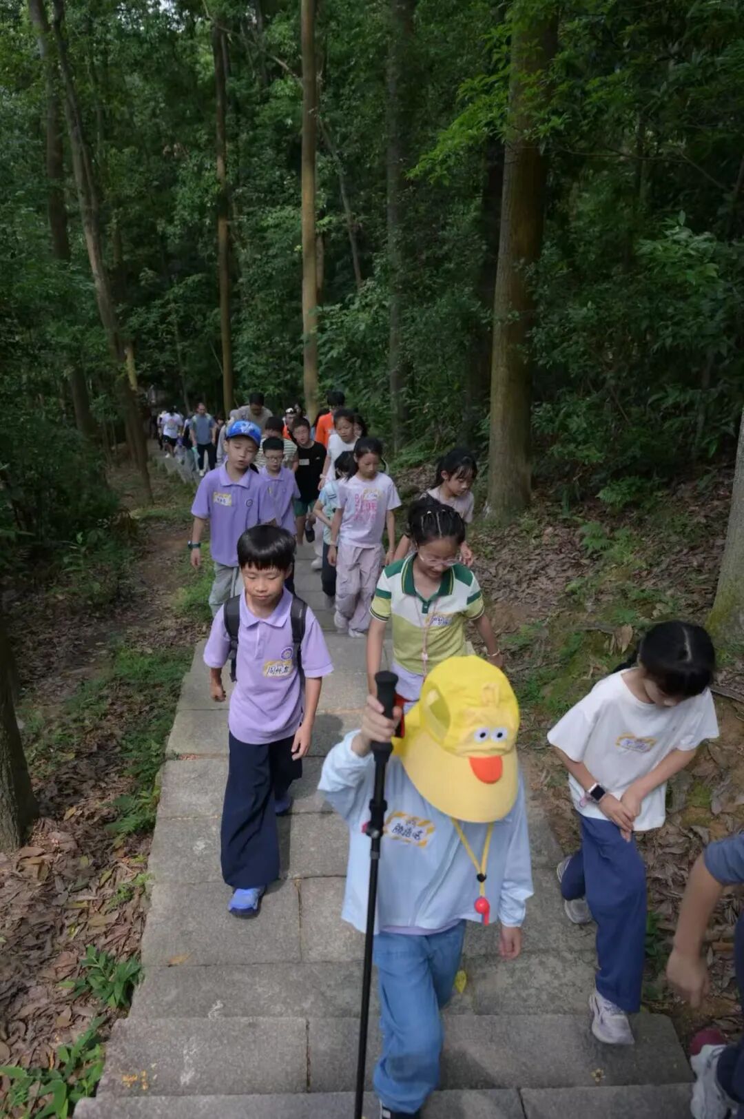 微信图片_2026-06-16_142531_492.jpg
